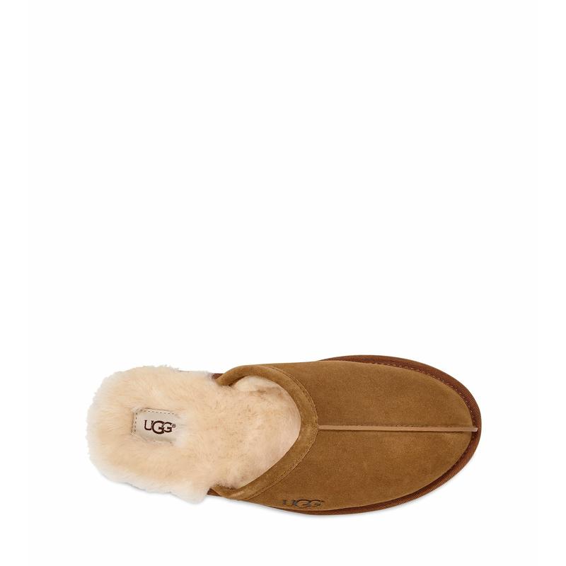 UGG Men's Scuff Slipper in Chestnut