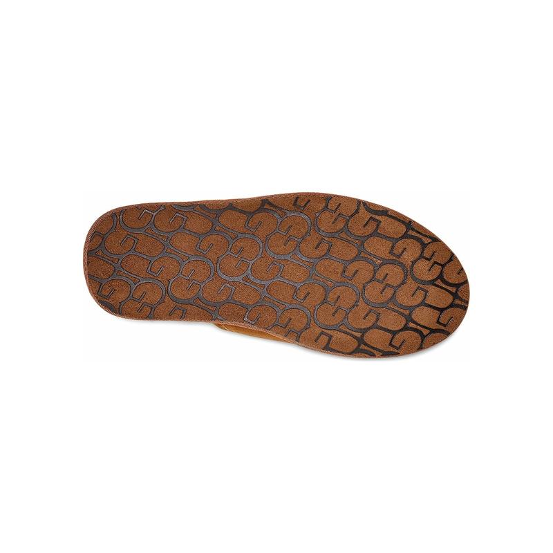 UGG Men's Scuff Slipper in Chestnut