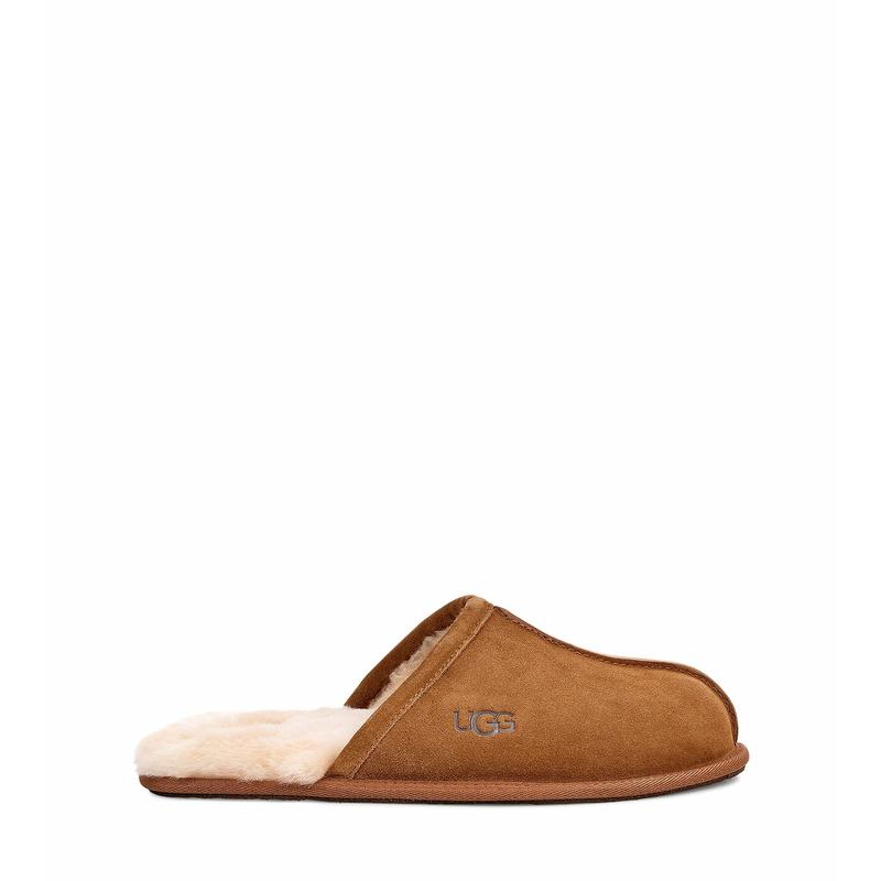 UGG Men's Scuff Slipper in Chestnut