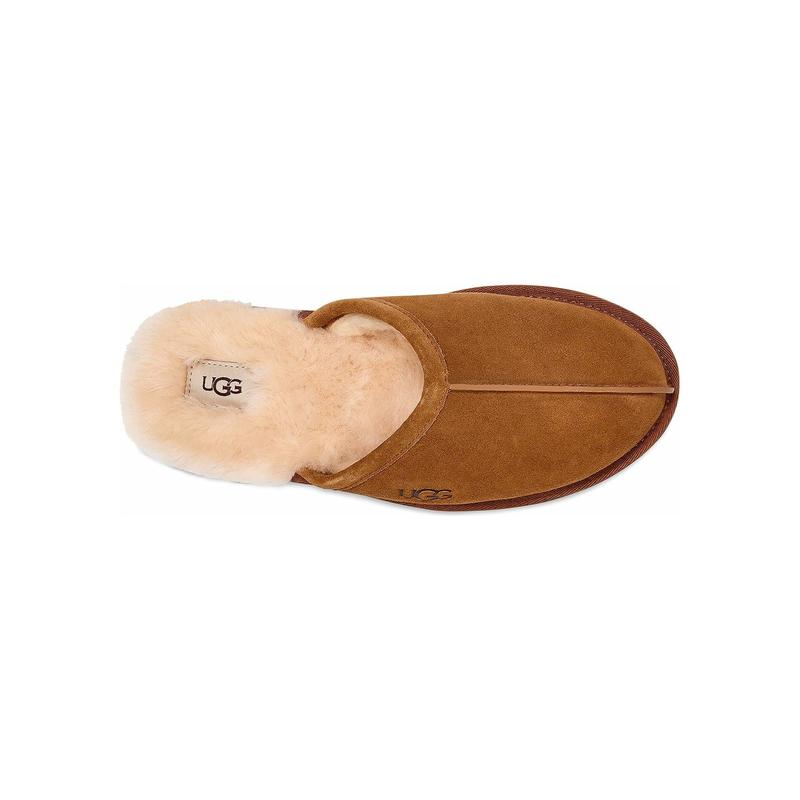 UGG Men's Scuff Slipper in Chestnut