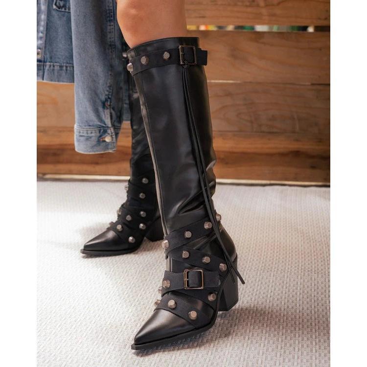 Pointy Toe Chunky Heeled Boots